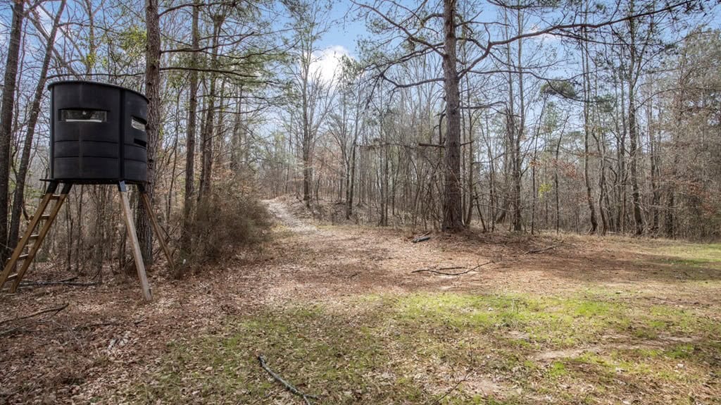 70 Acres Hunting Land Bordering Homochitto National Forest