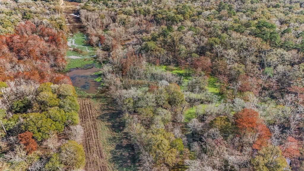 High Fence Hunting, 3 Lodges, 6 Cabins, Acadia Parish, LA