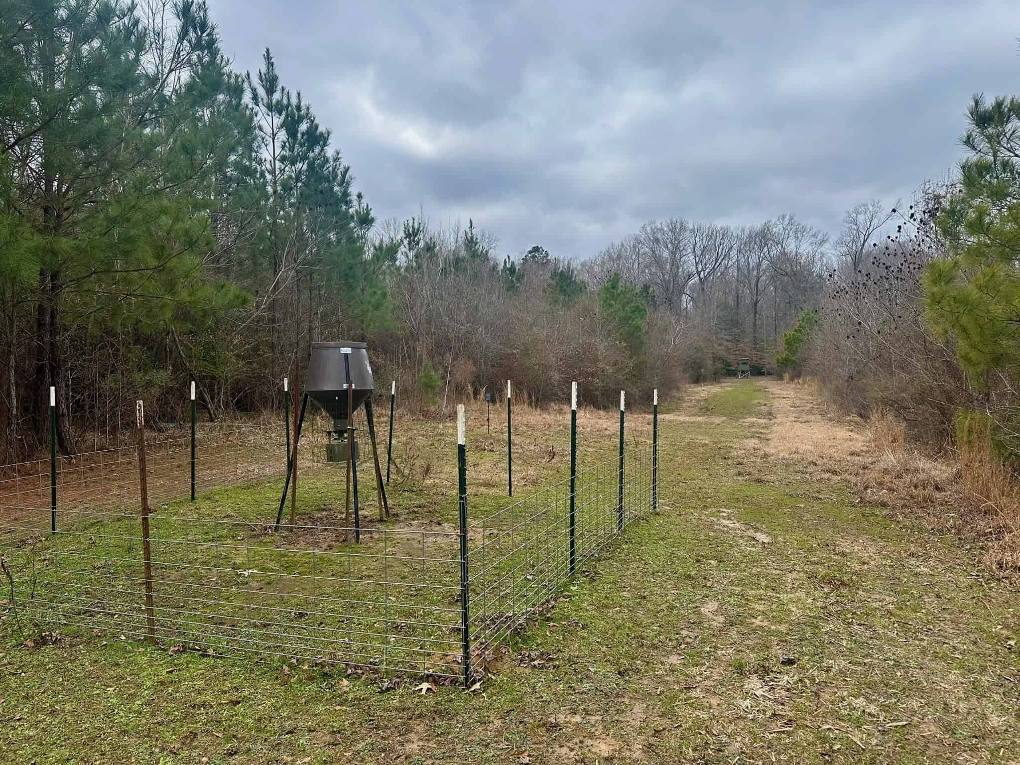 Hunting Property with a Camp and a Great Homesite