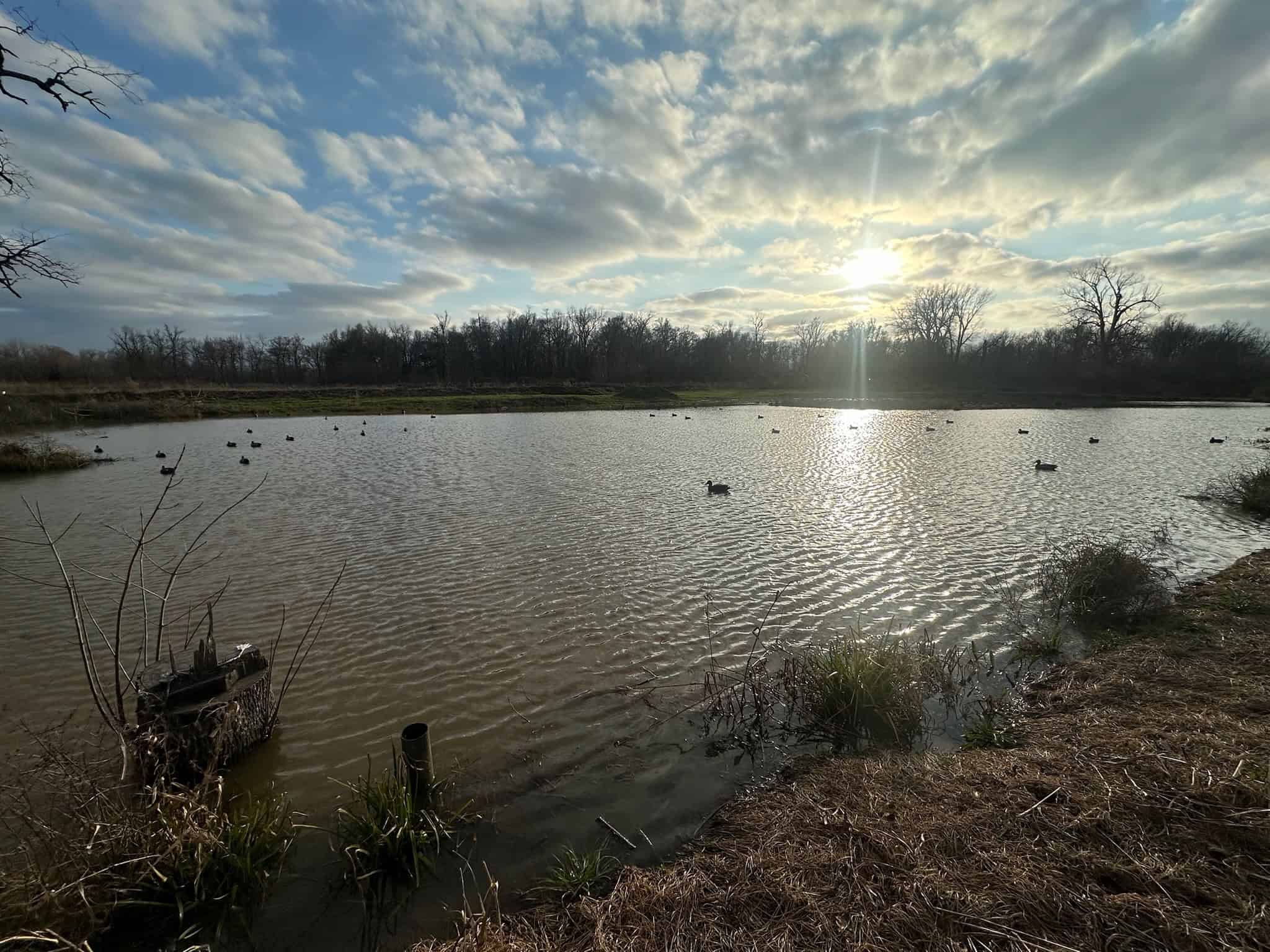 LA Delta Duck and Deer Hunting Property with a Camp