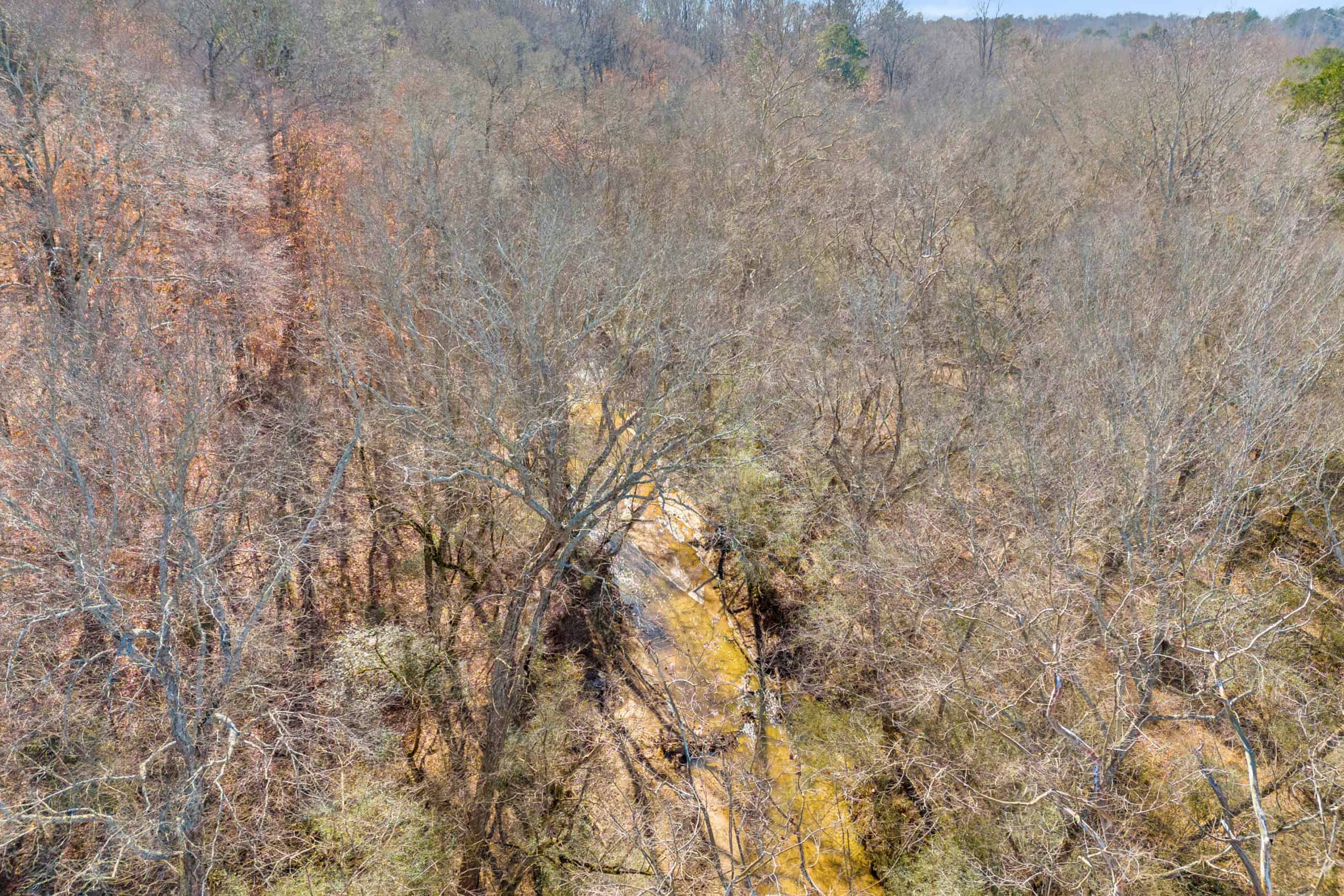 49+/- Acres of Beautiful Pasture with Two Ponds, Barn, and Creek Frontage.