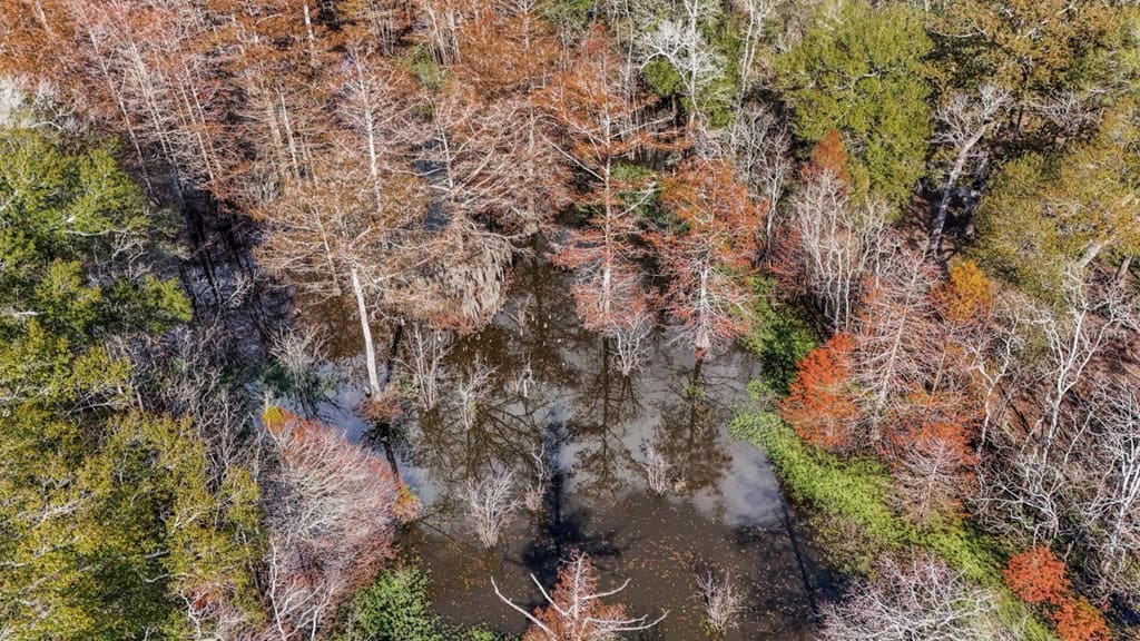 High Fence Hunting, 3 Lodges, 6 Cabins, Acadia Parish, LA