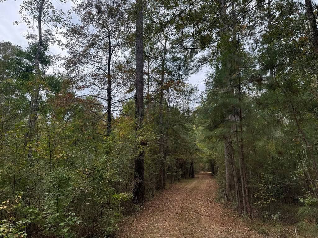 Land on the Tangipahoa River in Pike County, MS