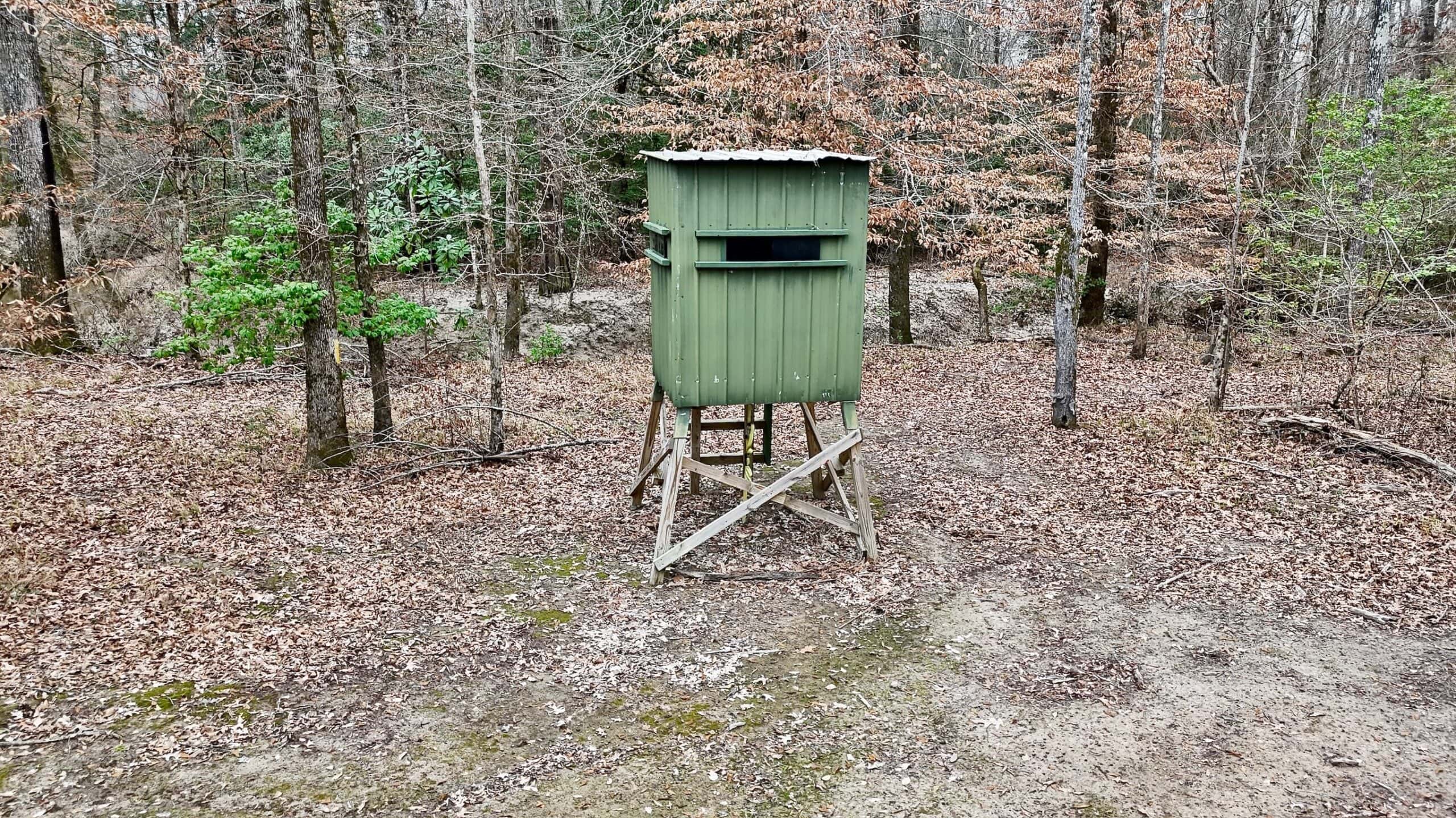Hunting Property with a Camp and a Great Homesite