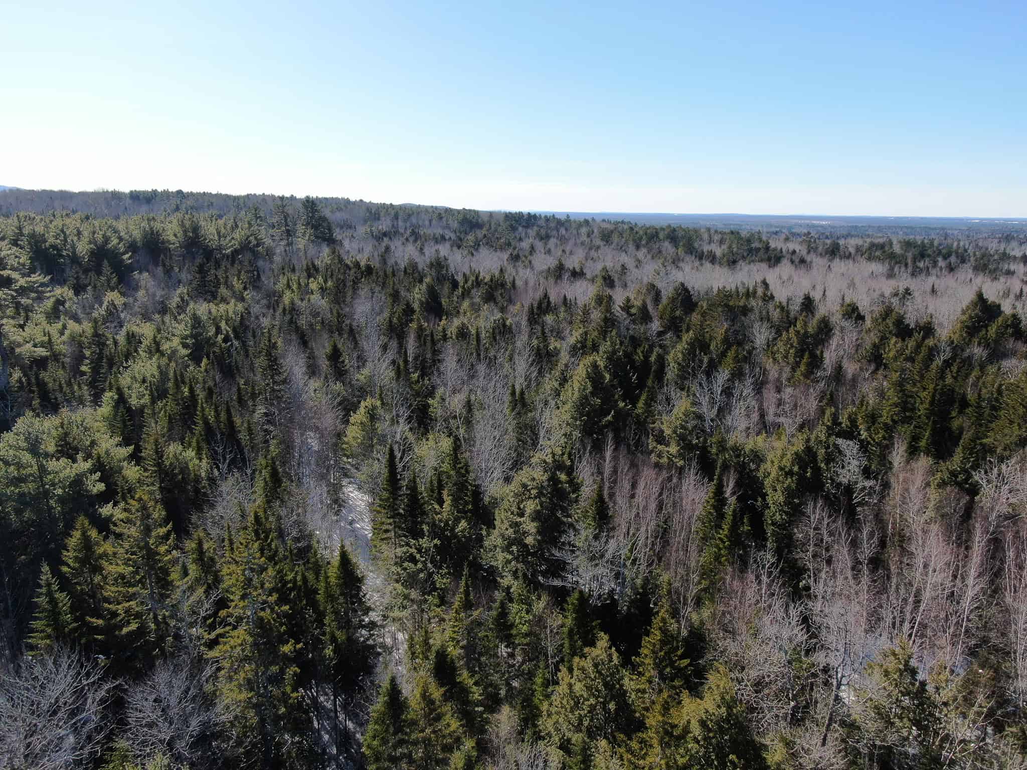 32 Acres with Off-Grid Cabin