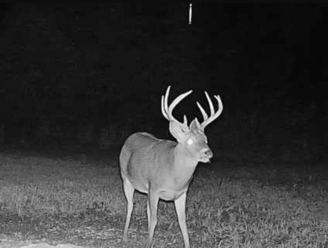 LA Delta Duck and Deer Hunting Property with a Camp