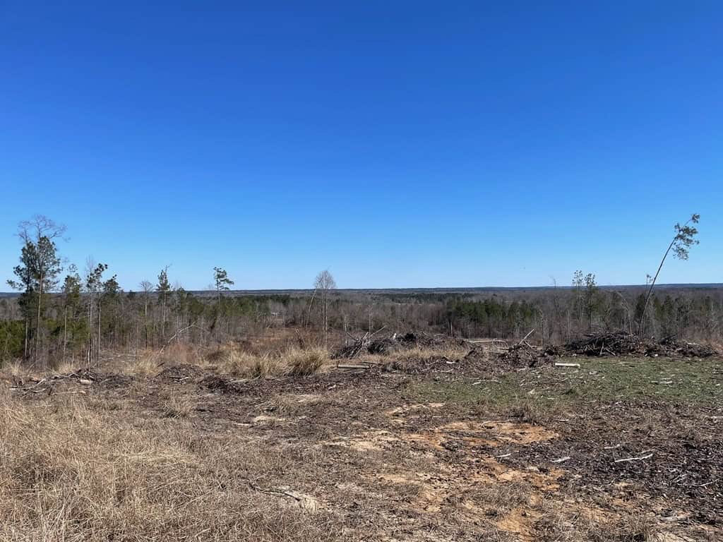 310 Acres Claiborne Hunting Property
