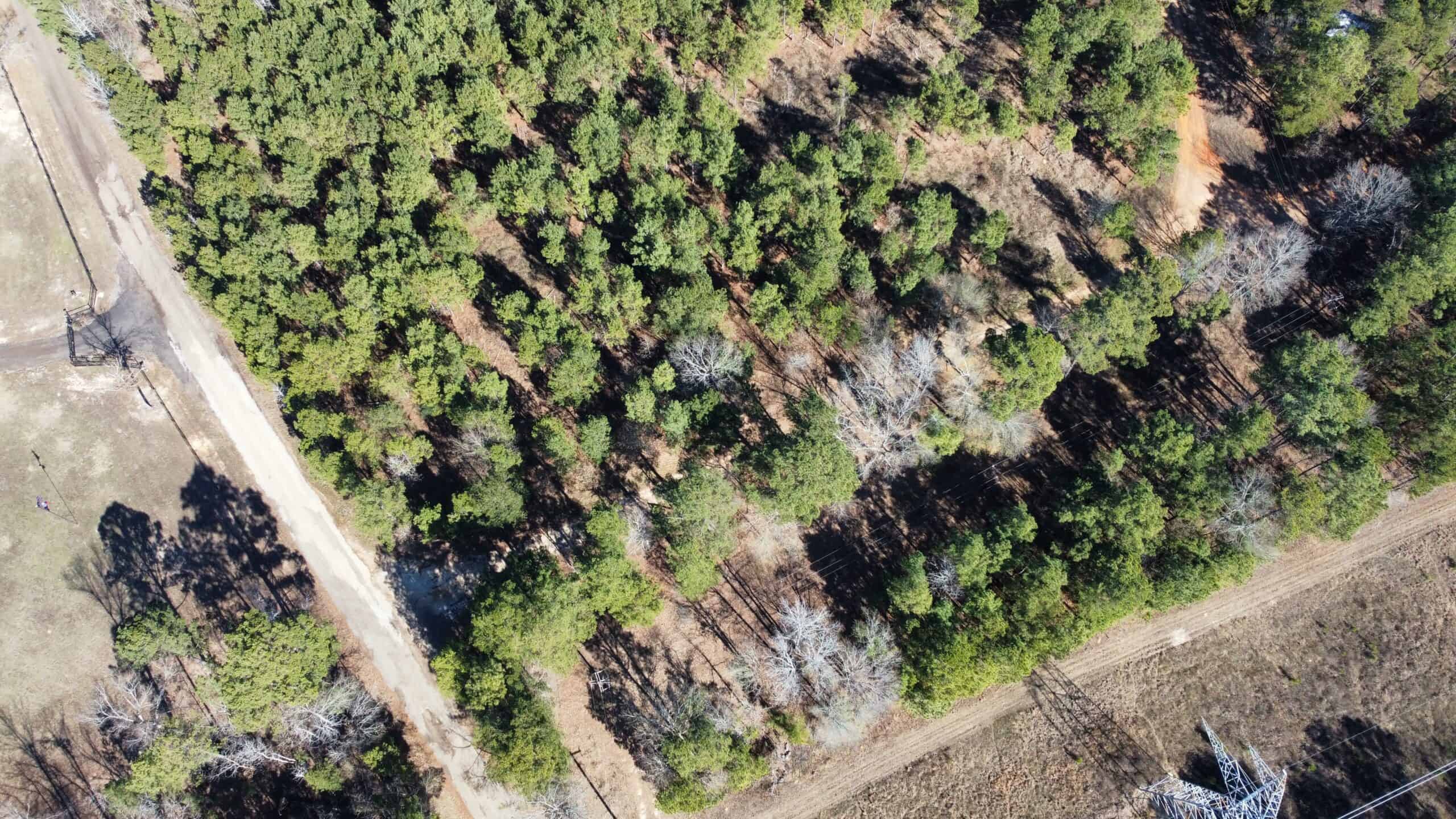 East TX Hunting Land Near Overton TX Rusk County
