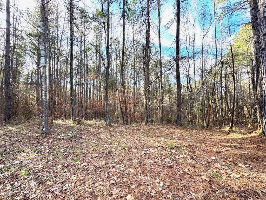 Great Small Hunting Tract or Homesite in Franklin County, MS