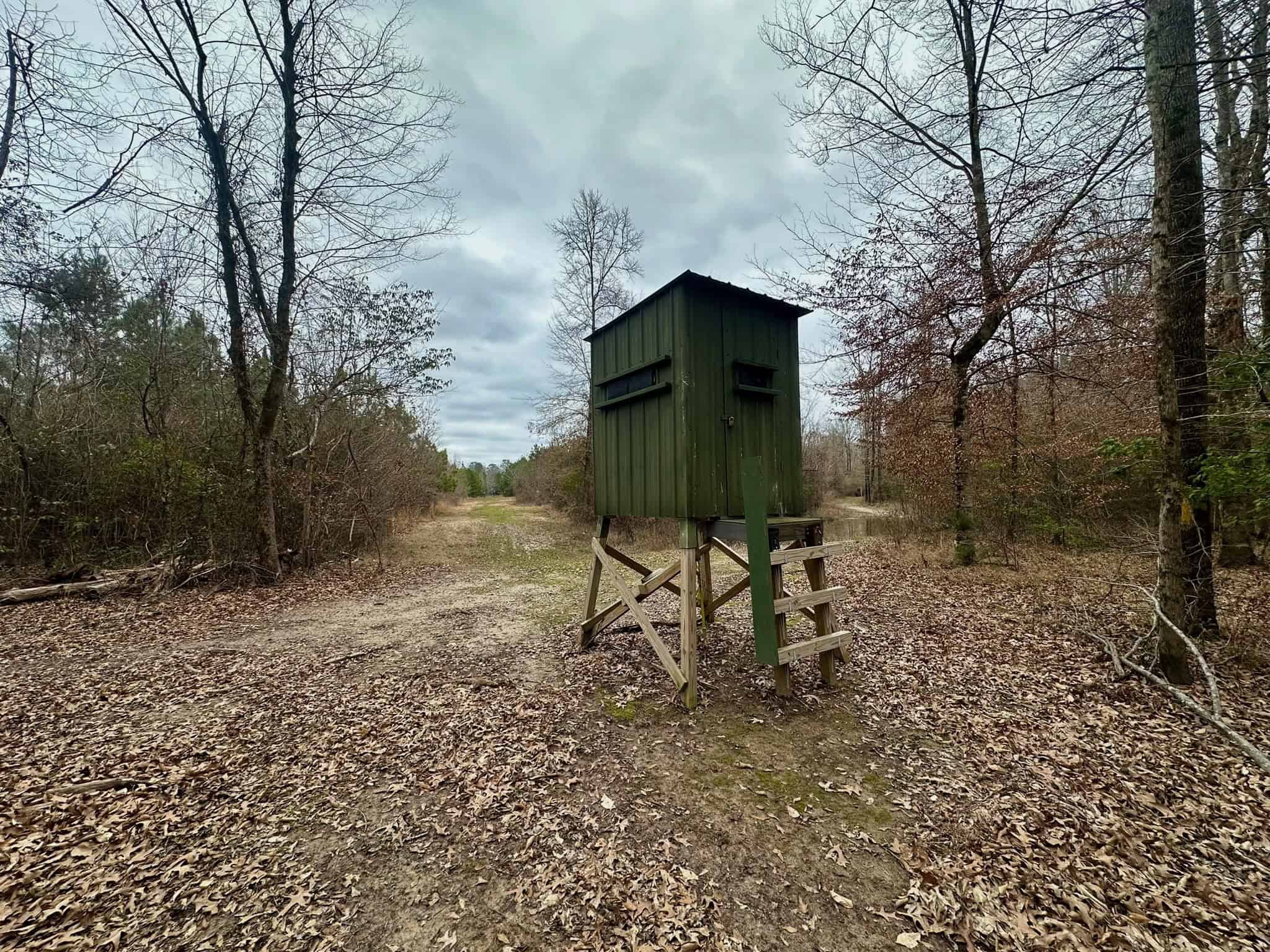 Hunting Property with a Camp and a Great Homesite