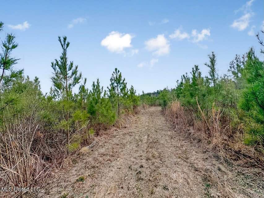 Turnkey Property in Lincoln County, MS
