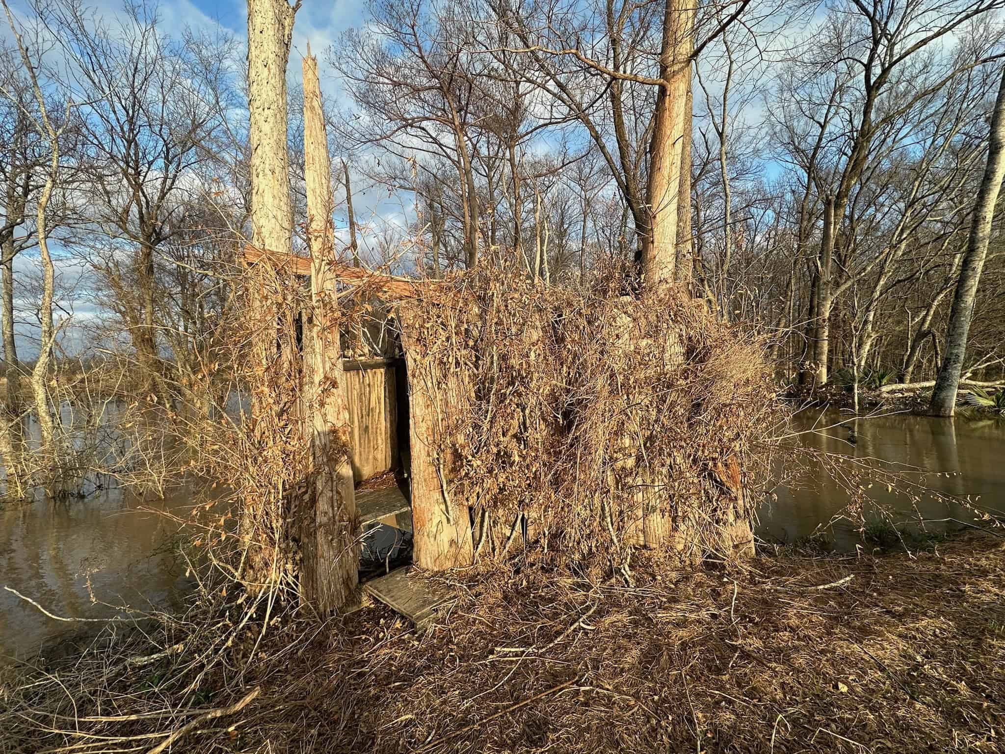 LA Delta Duck and Deer Hunting Property with a Camp
