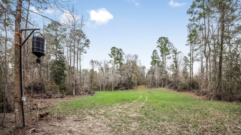 50 Acres TurnKey Hunting Camp SW Wilkinson County, MS
