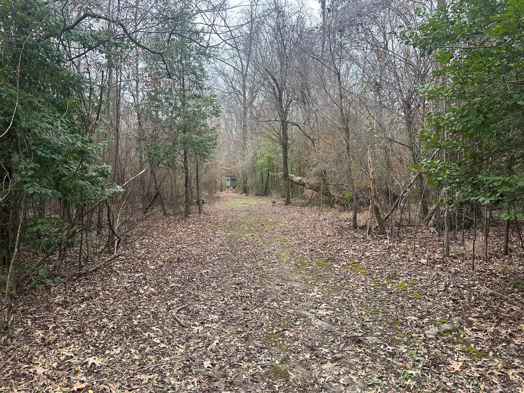 Hunting Property with a Camp and a Great Homesite