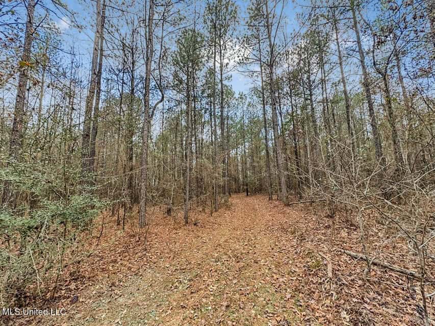 Turnkey Property in Lincoln County, MS