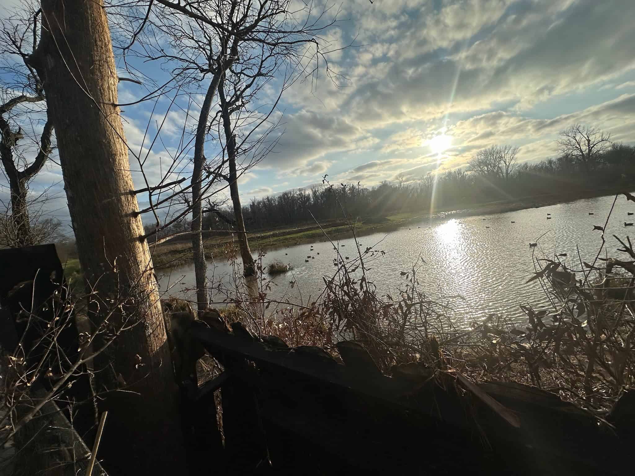 LA Delta Duck and Deer Hunting Property with a Camp