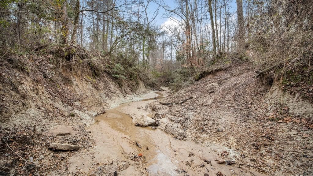50 Acres TurnKey Hunting Camp SW Wilkinson County, MS