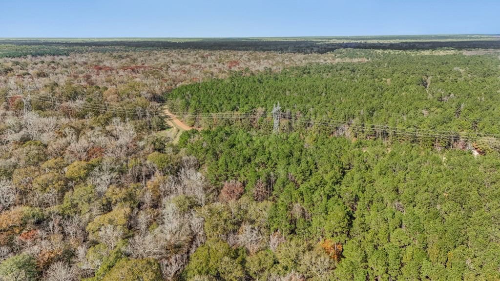High Fence Hunting, 3 Lodges, 6 Cabins, Acadia Parish, LA