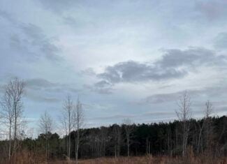Hunting Land For Sale in Enoree, SC!