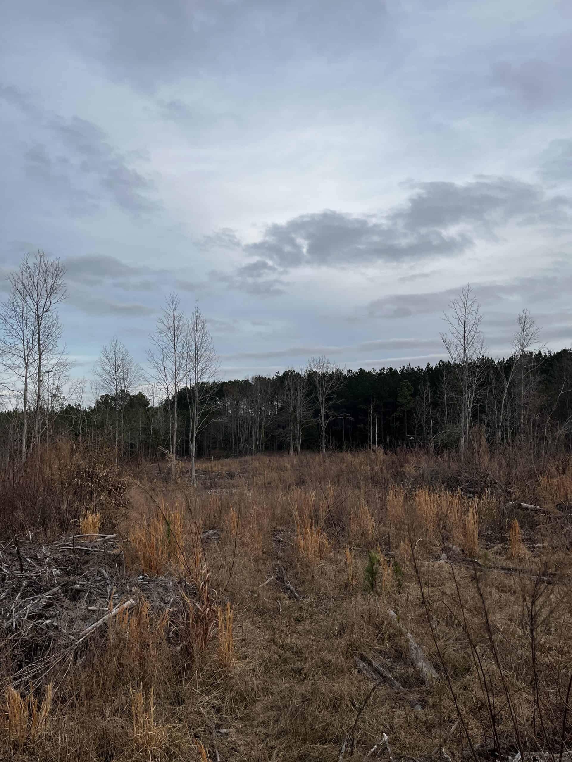 Hunting Land For Sale in Enoree, SC!