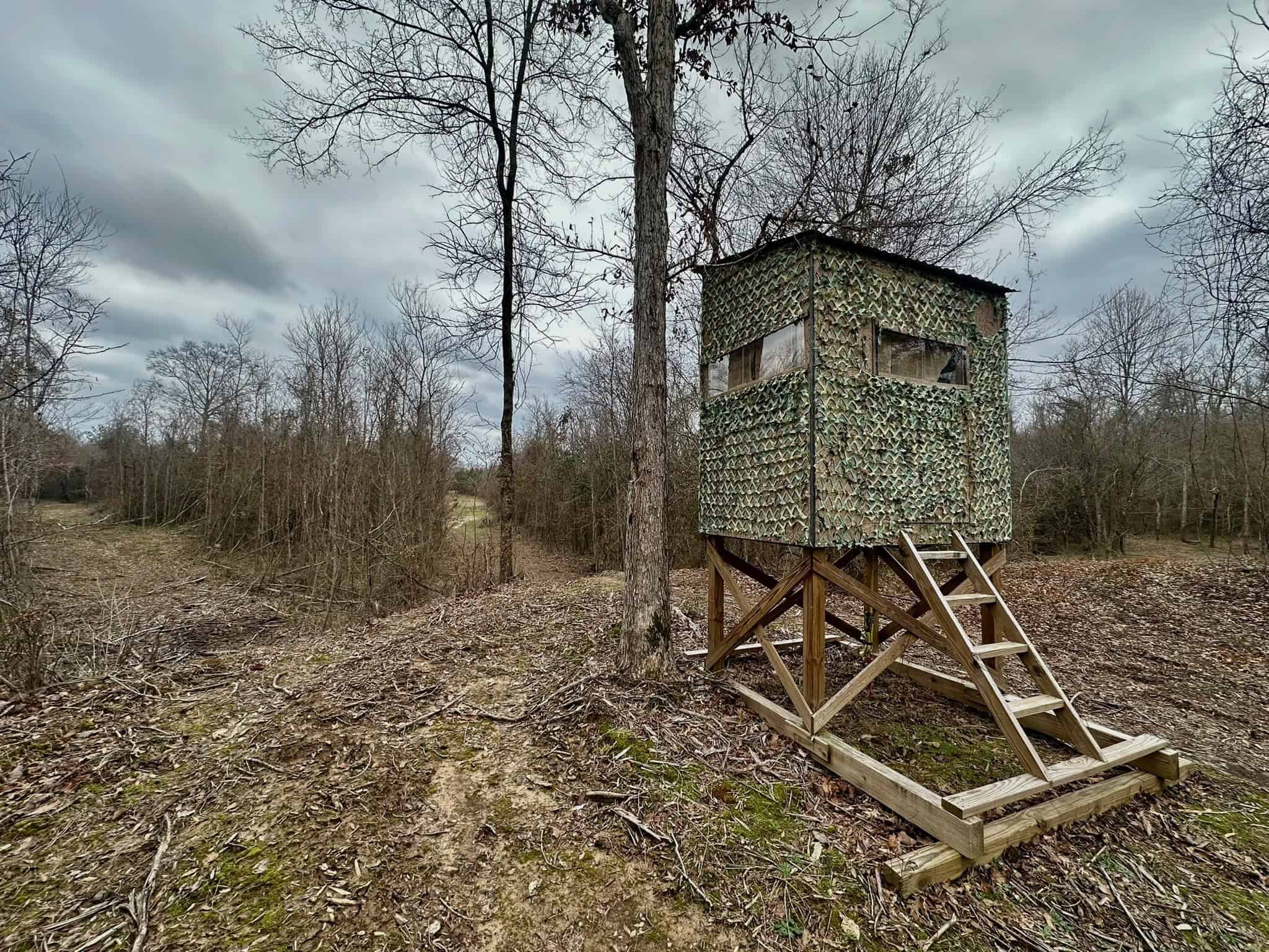 Hunting Property with a Camp and a Great Homesite