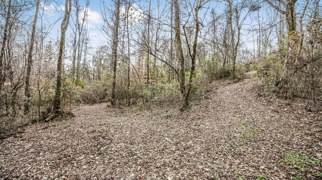 50 Acres TurnKey Hunting Camp SW Wilkinson County, MS