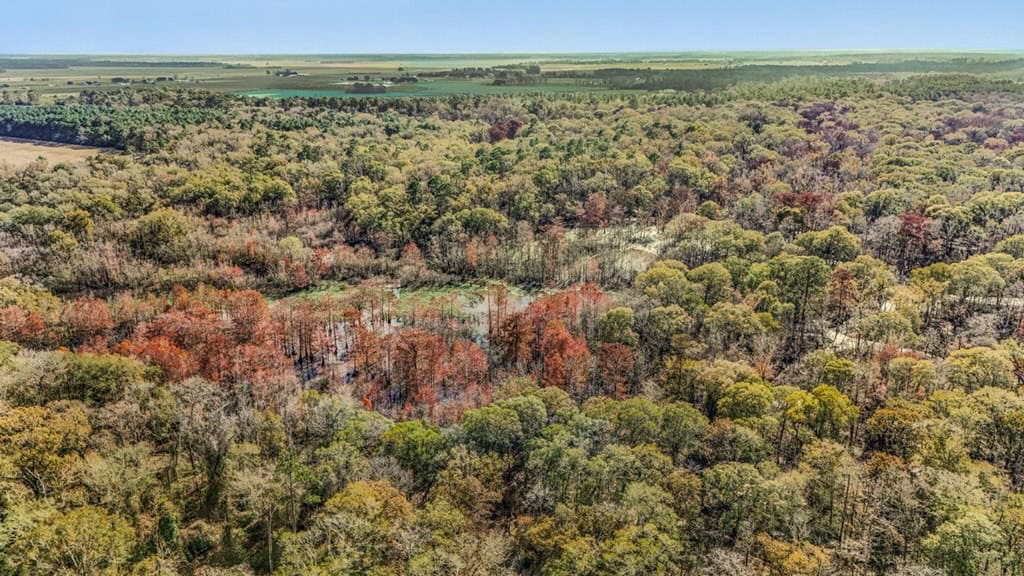 High Fence Hunting, 3 Lodges, 6 Cabins, Acadia Parish, LA