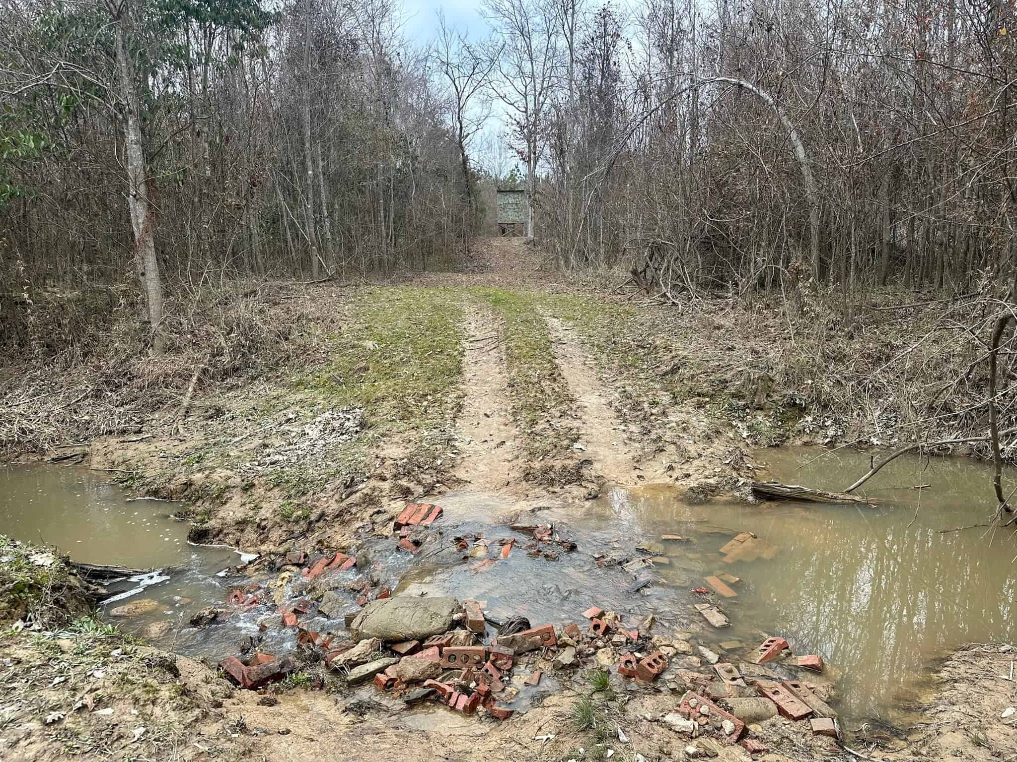 Hunting Property with a Camp and a Great Homesite