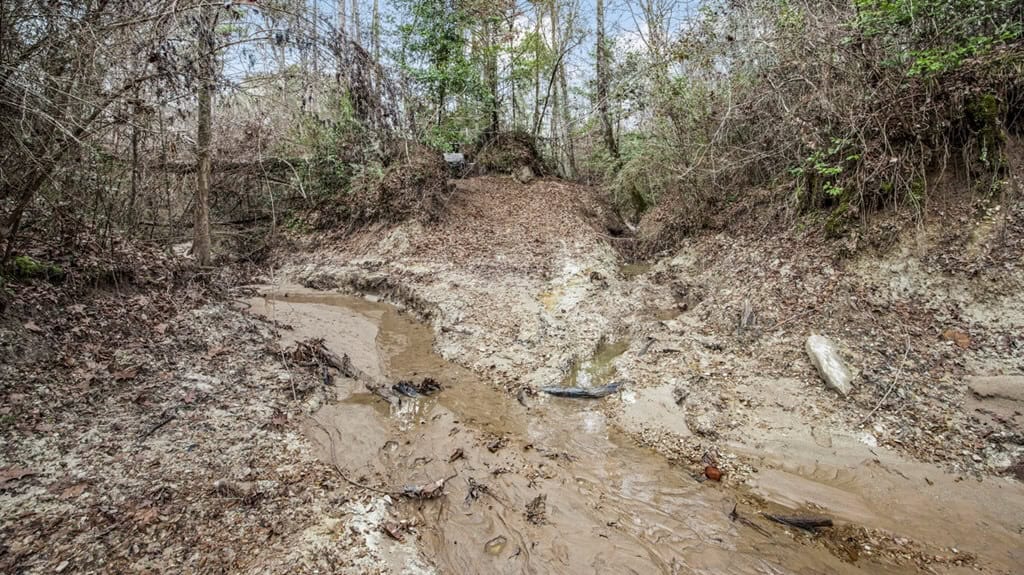 50 Acres TurnKey Hunting Camp SW Wilkinson County, MS