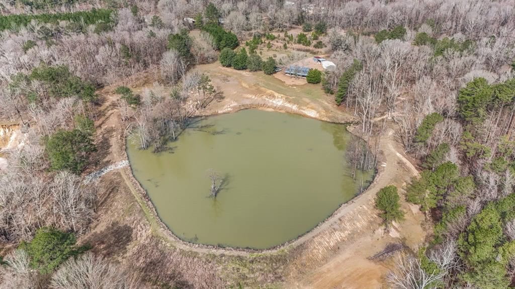 70 Acres Hunting Land Bordering Homochitto National Forest