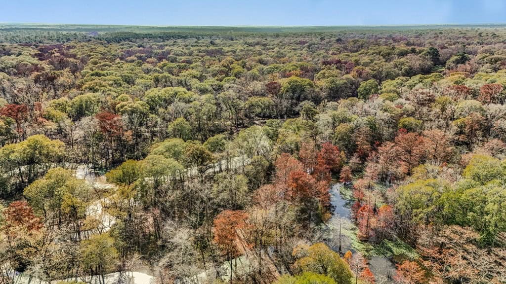 High Fence Hunting, 3 Lodges, 6 Cabins, Acadia Parish, LA