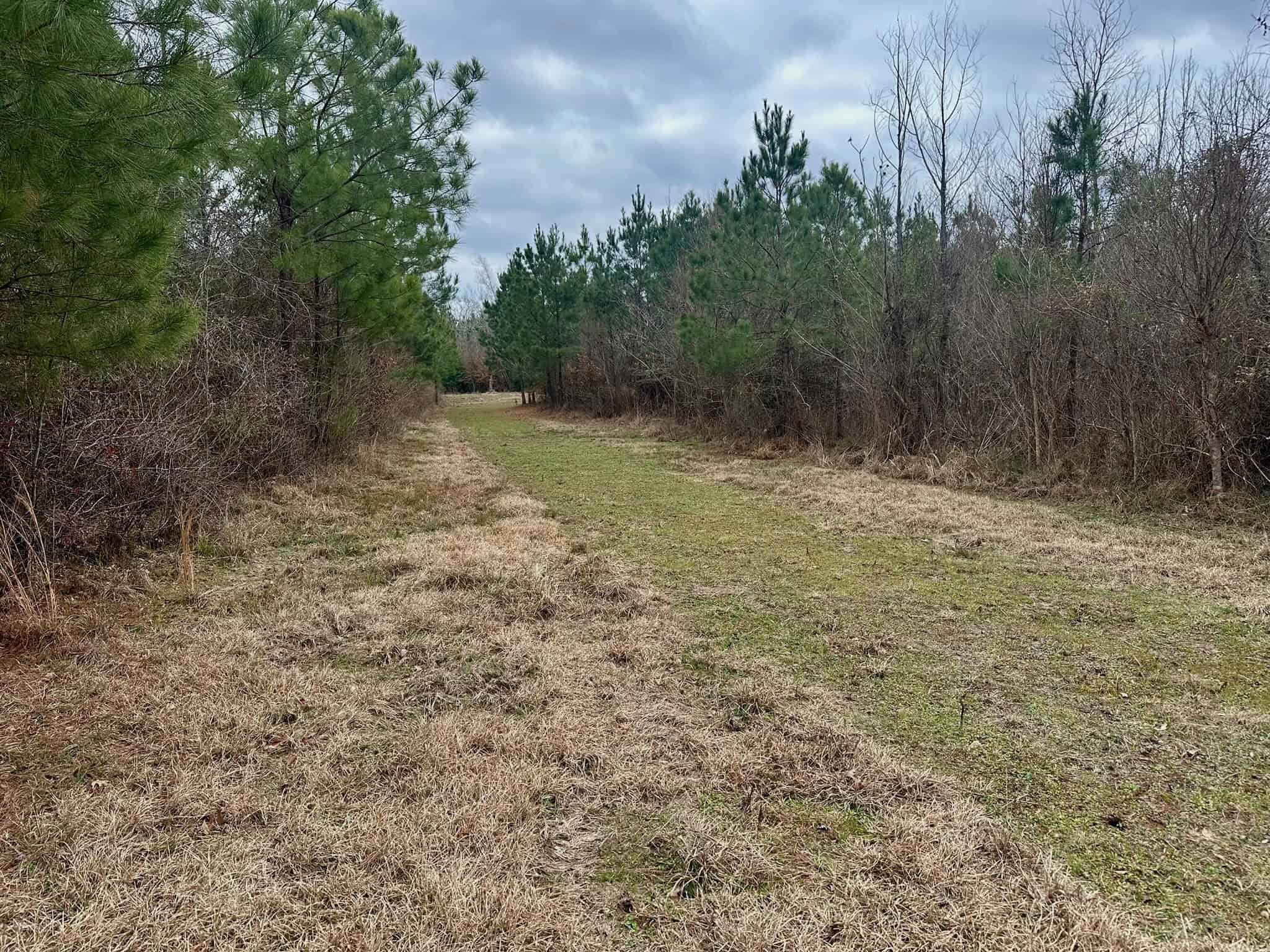 Hunting Property with a Camp and a Great Homesite