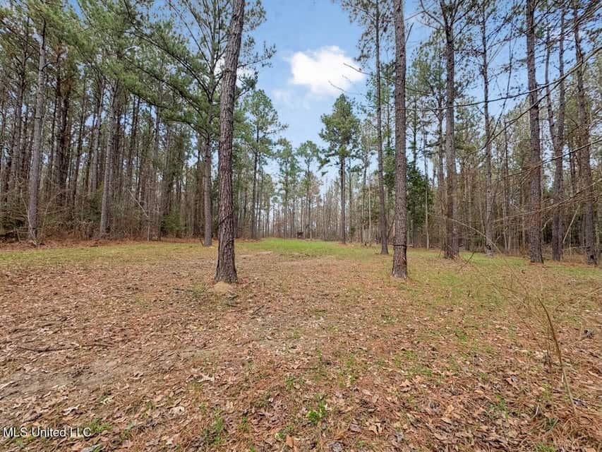 Turnkey Property in Lincoln County, MS