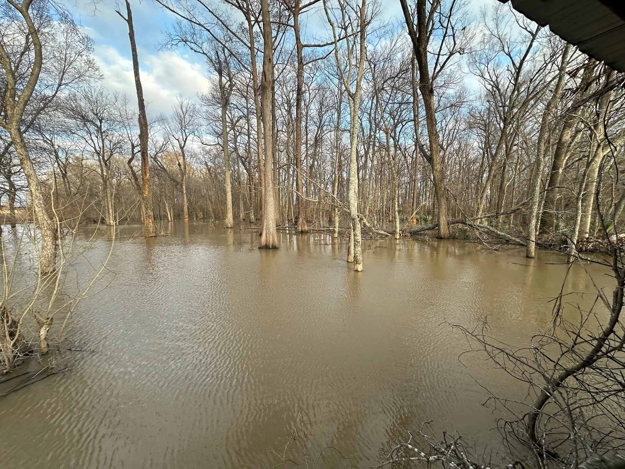 LA Delta Duck and Deer Hunting Property with a Camp