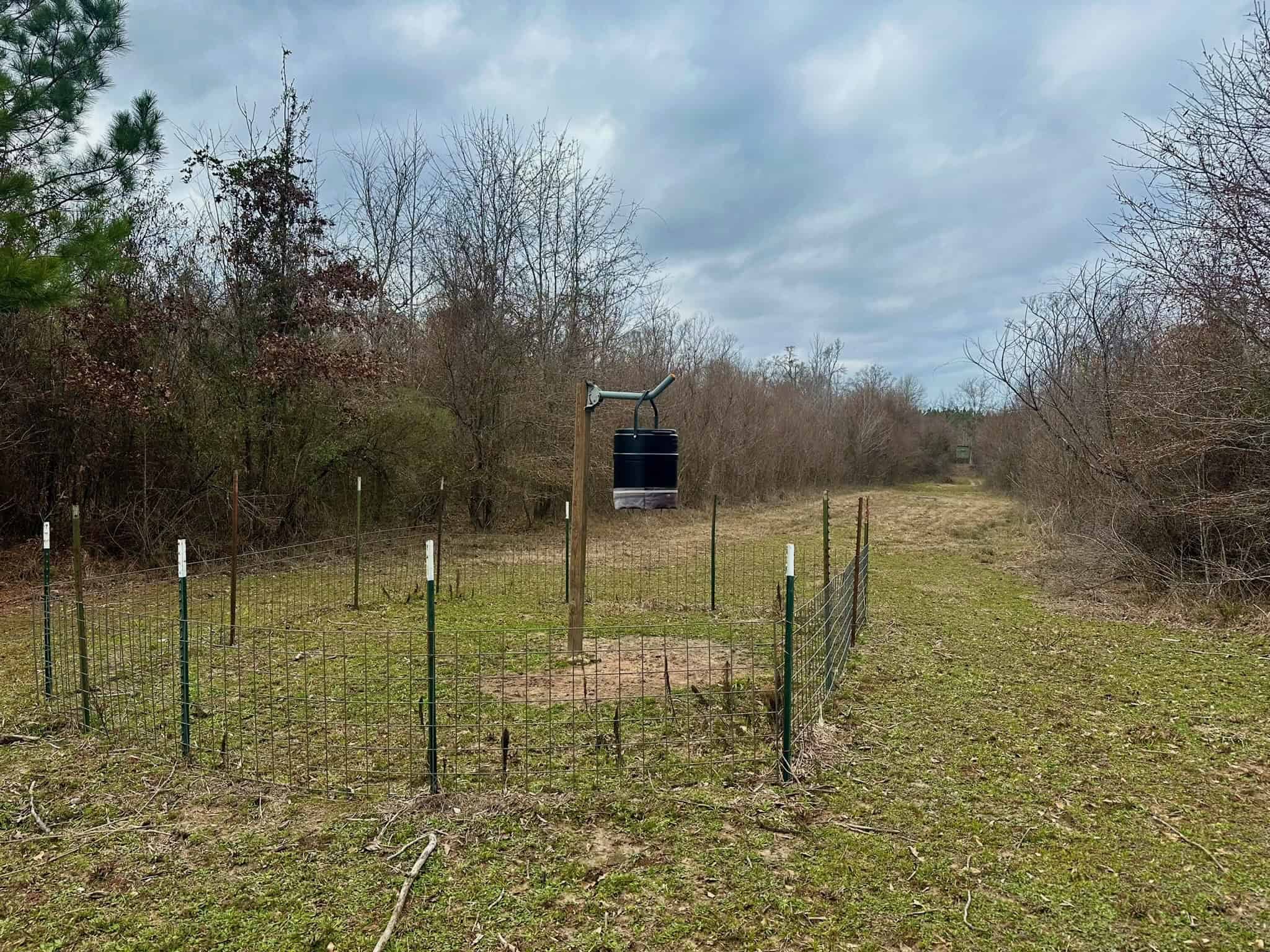 Hunting Property with a Camp and a Great Homesite