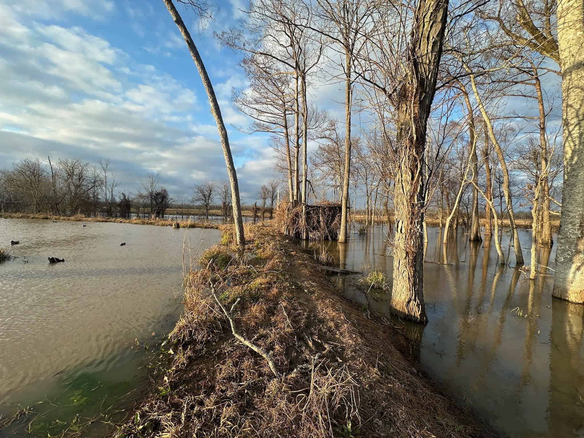 LA Delta Duck and Deer Hunting Property with a Camp