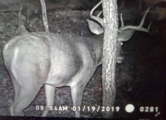 20-Acre Hunter’s Paradise in Southeastern Oklahoma-Prime location & Utilities Ready