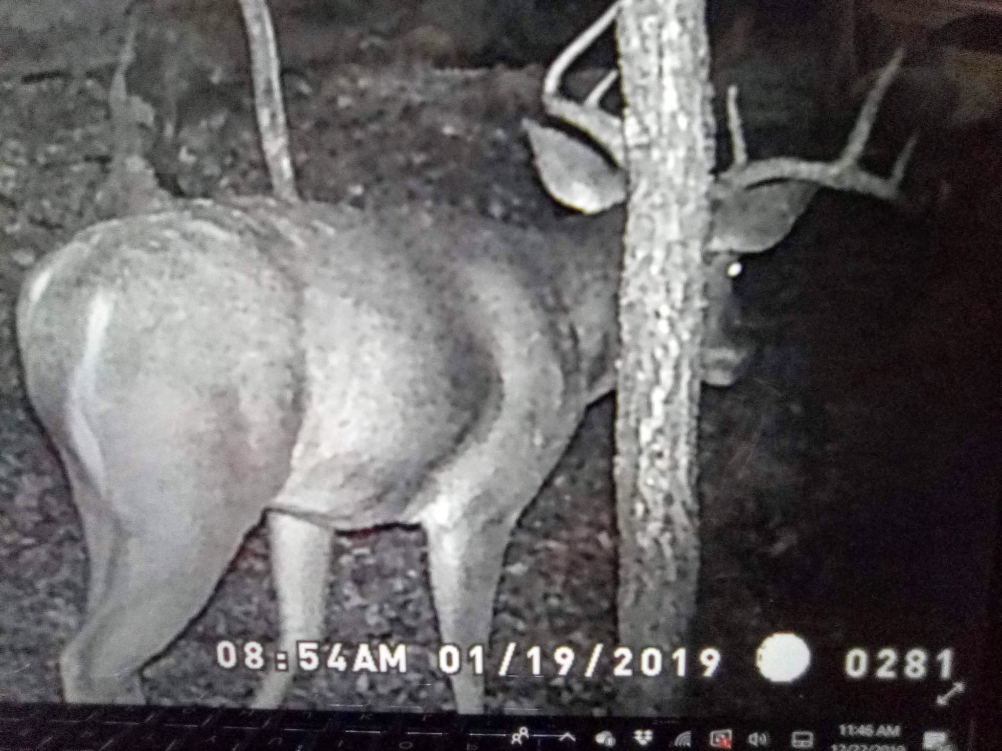 20-Acre Hunter’s Paradise in Southeastern Oklahoma-Prime location & Utilities Ready