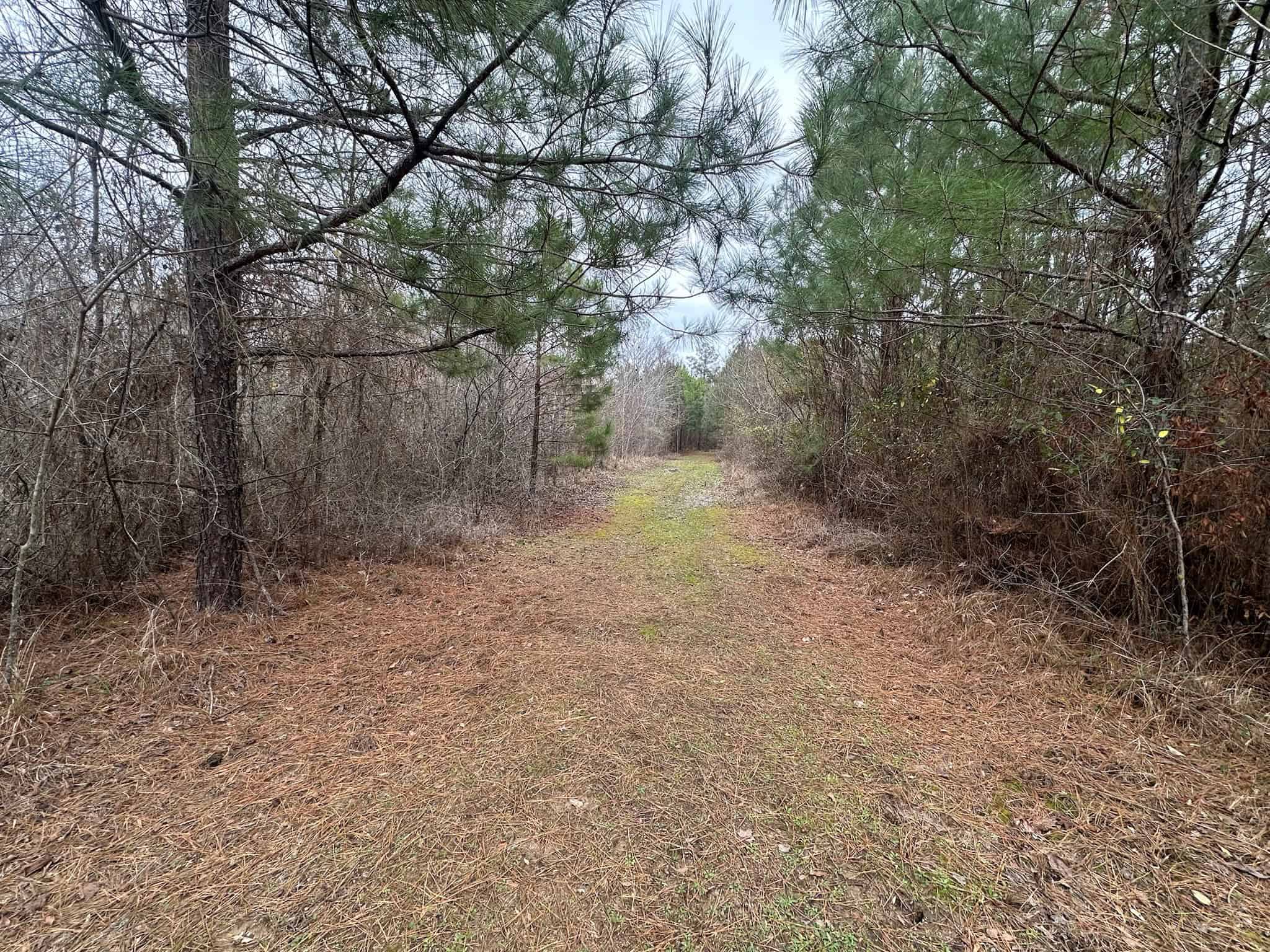 Hunting Property with a Camp and a Great Homesite