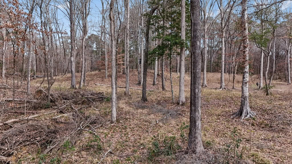 70 Acres Hunting Land Bordering Homochitto National Forest