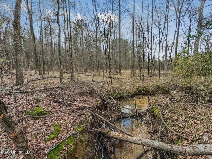 Turnkey Property in Lincoln County, MS