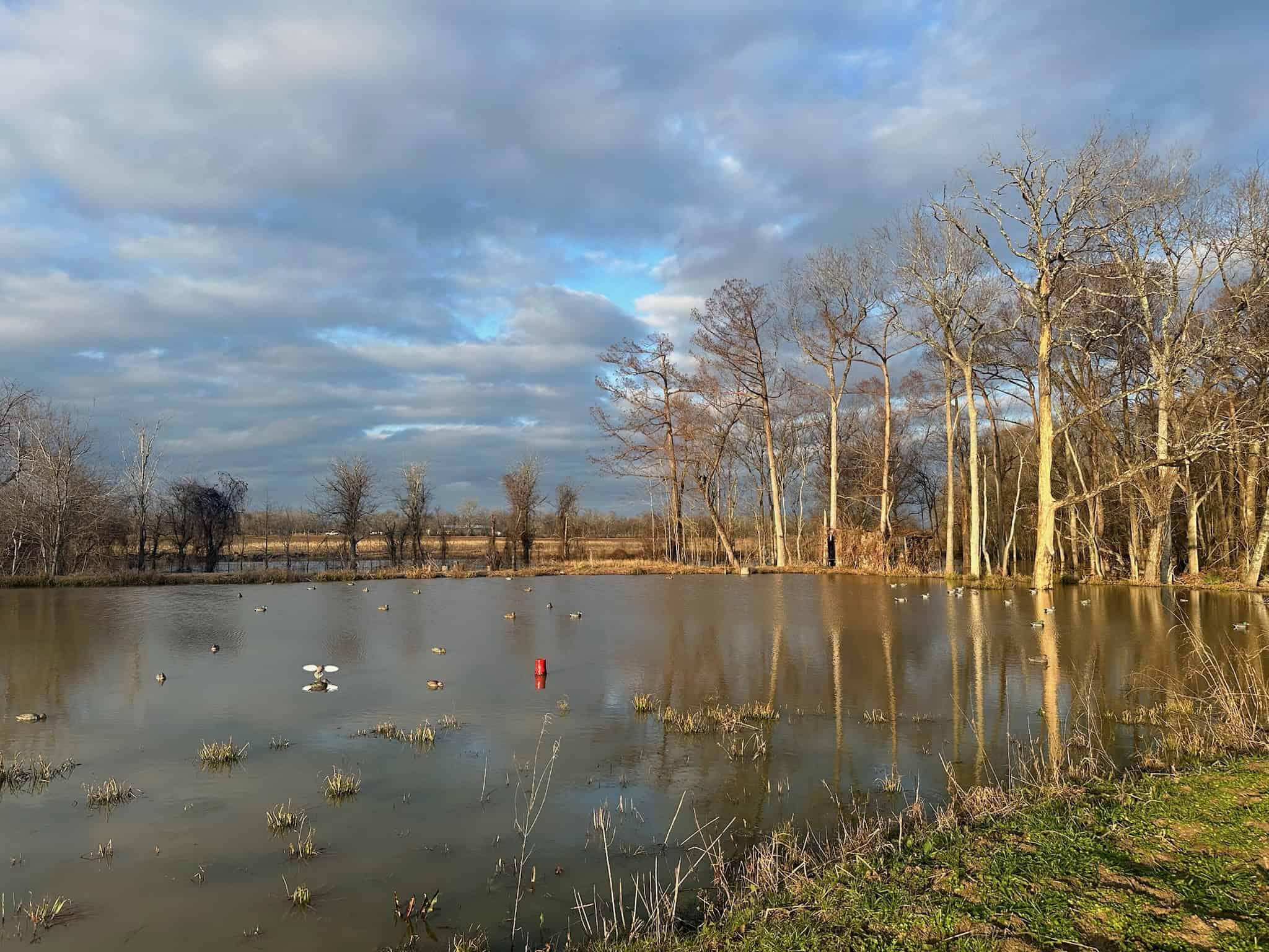 LA Delta Duck and Deer Hunting Property with a Camp