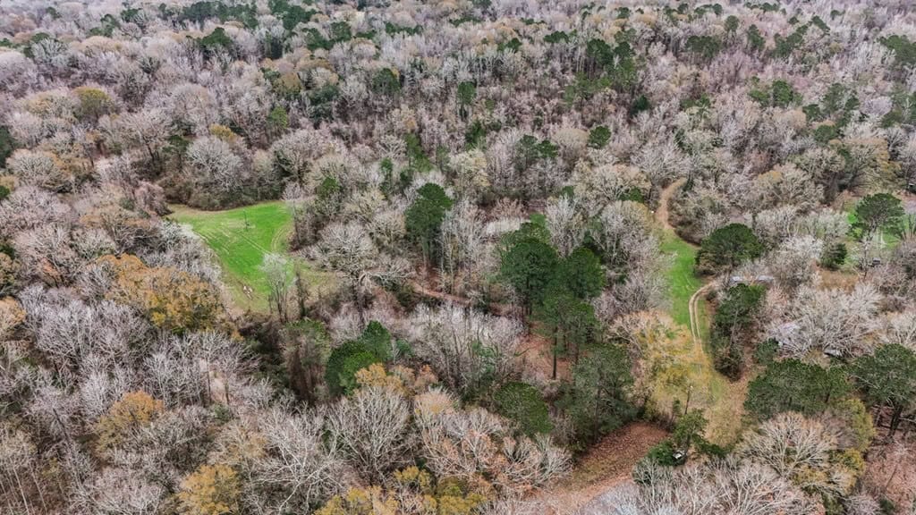 50 Acres TurnKey Hunting Camp SW Wilkinson County, MS