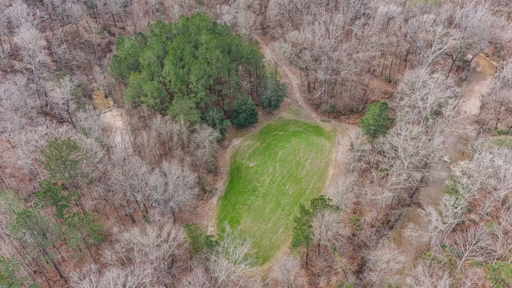70 Acres Hunting Land Bordering Homochitto National Forest