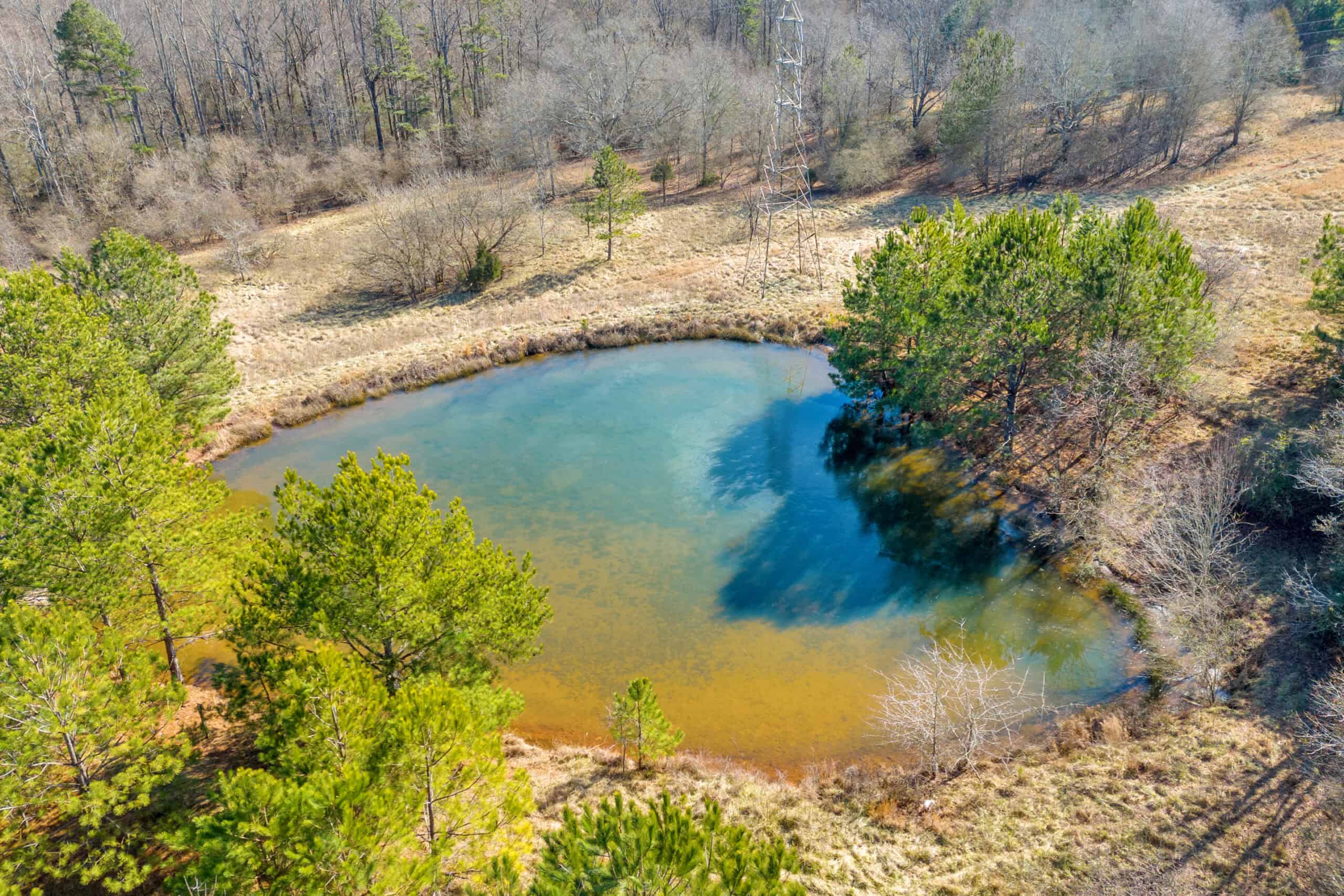 49+/- Acres of Beautiful Pasture with Two Ponds, Barn, and Creek Frontage.