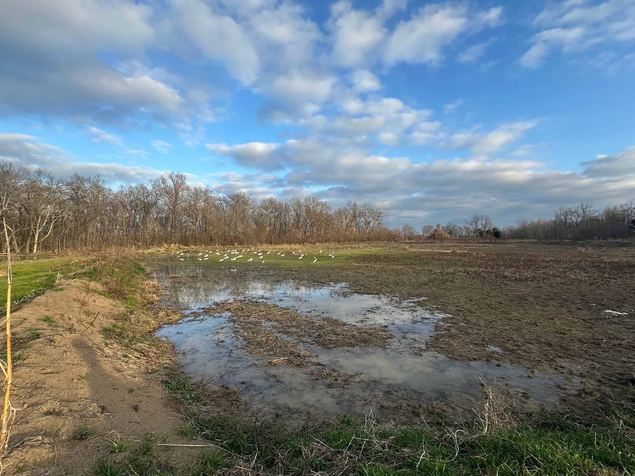 LA Delta Duck and Deer Hunting Property with a Camp