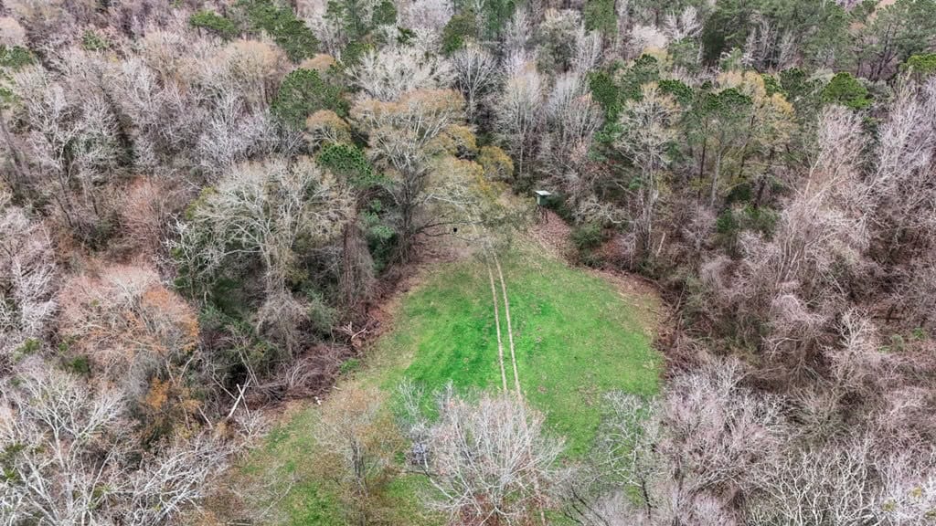 50 Acres TurnKey Hunting Camp SW Wilkinson County, MS