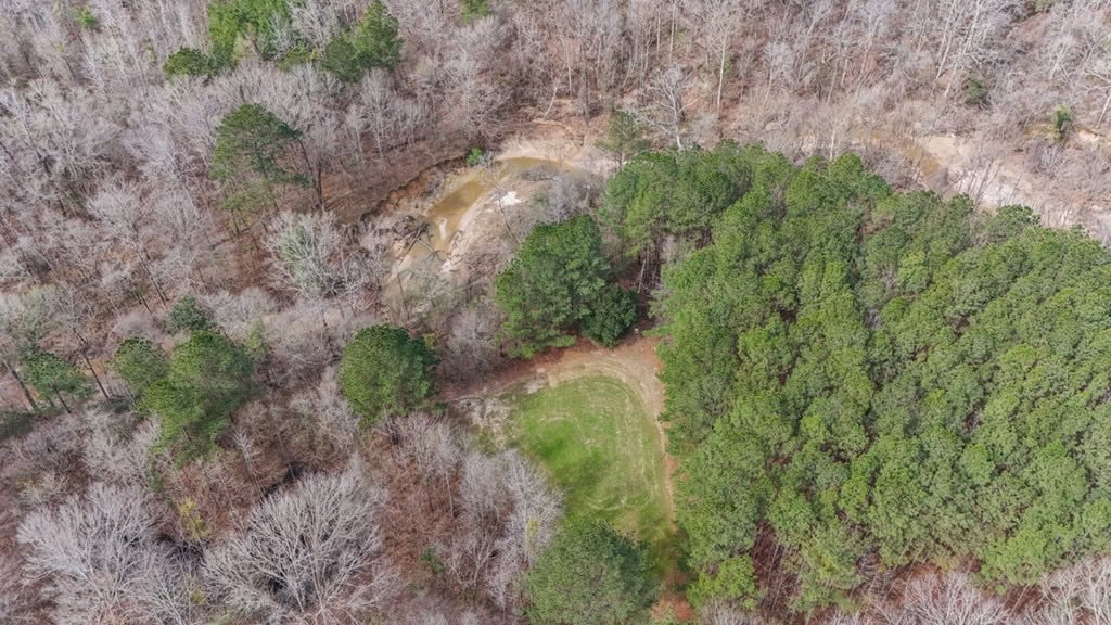 70 Acres Hunting Land Bordering Homochitto National Forest