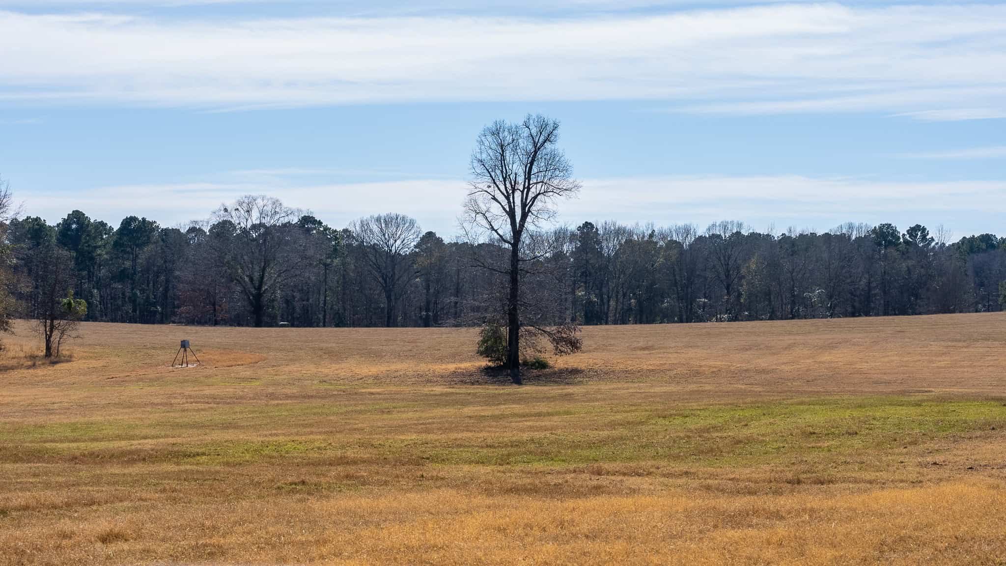 East Texas Hunting Land for sale Sabine River Frontage Gladewater TX