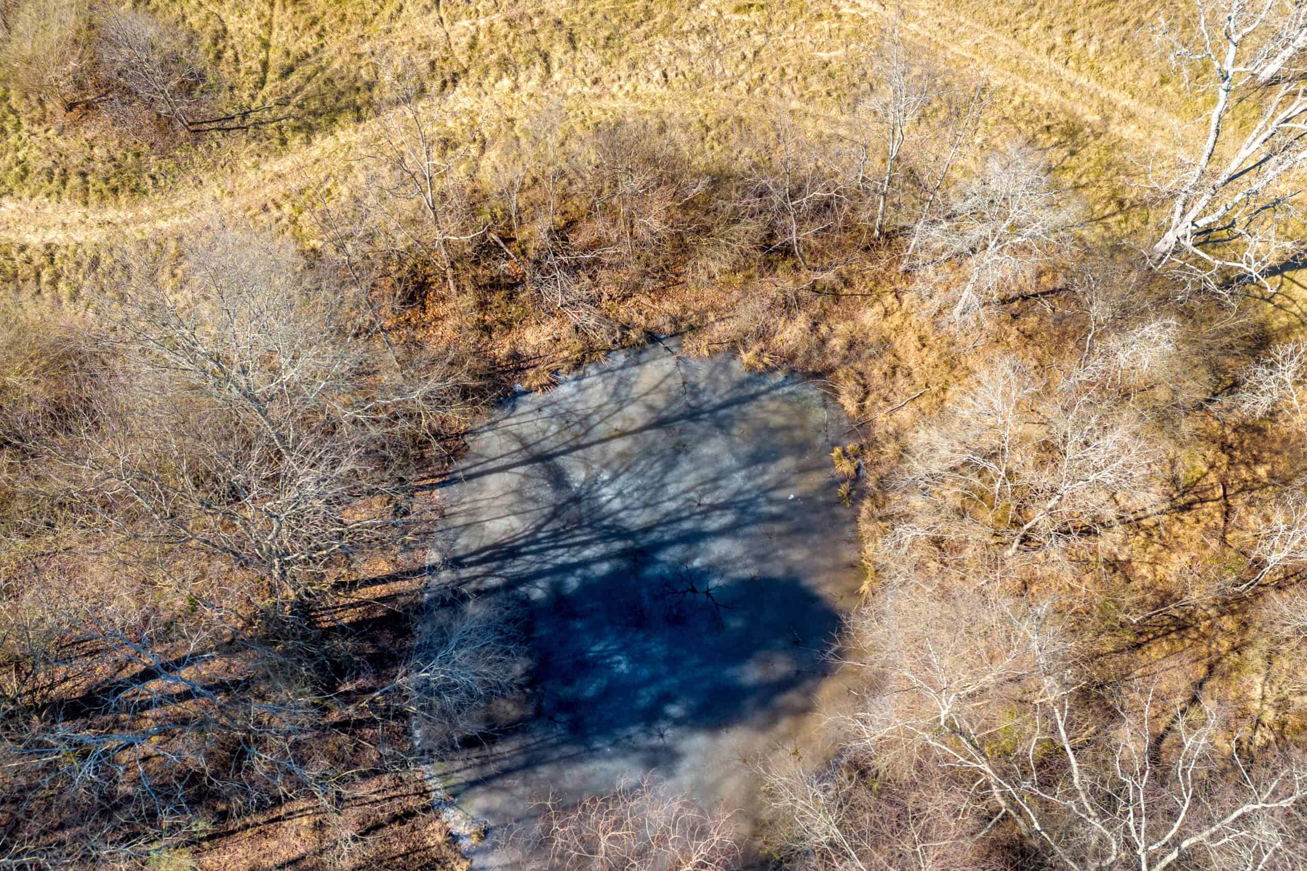 49+/- Acres of Beautiful Pasture with Two Ponds, Barn, and Creek Frontage.